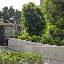 Riversound Residence (D19), Condominium #284267481